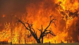 Óriási pusztítás: 2300 hektárnyi terület égett ki