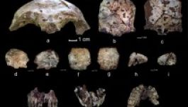 A modern ember eddig legrégibb csontmaradványára bukkantak