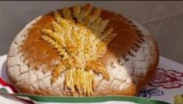 Székely búza is lesz a Nemzet Kenyerében