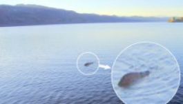 Lefotóztatta magát Nessie?
