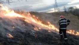 Gondatlanság okozott erdőtüzeket Hargita megyében