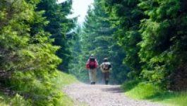 Turistacsalogató Gyergyószárhegyen