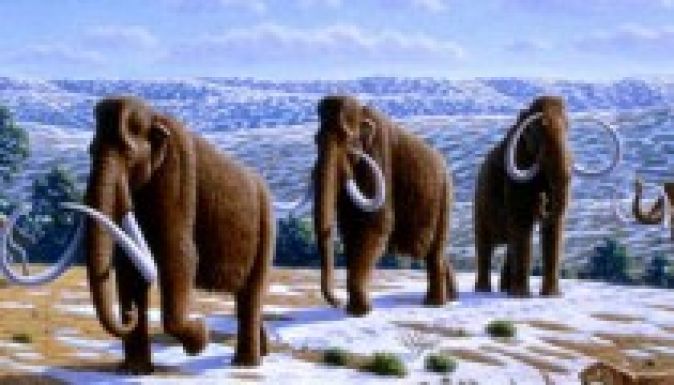 Mamutok feltámadása?