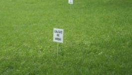 Egy látható város: művészet az utcán, tereken