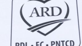 Megalakult a jobbközép választási szövetsége