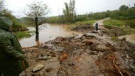 Hatott Édler panasza : meggondolta magát a PAID