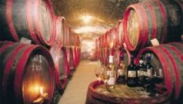 Száz éves a Bikavér