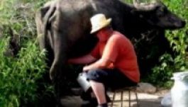 A bivalytej csak emlék lesz?