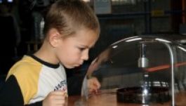 Csak a csoda segíthet a Csodák Palotáján