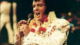 Nem talált gazdára Elvis alsógatyája