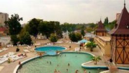 Vasile Cepoi: fellendítenék a gyógyturizmust