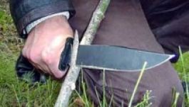 Gyilkos medve: a vadat orvvadászok ingerelték