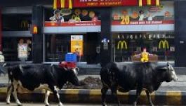 Húsmentes McDonald's nyílik Indiában