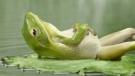 A mozdulatlanság ünnepe