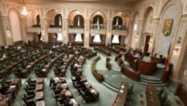 A szenátus elutasította a székelyföldi autonómia-tervezetet