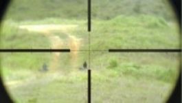 Prahova völgye: hercehurca egy agresszív medvével