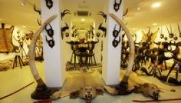 Vadászati múzeumot hoznak létre Sepsiszentgyörgyön