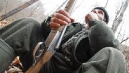 Újabb medvetámadás: két erdész megsérült Argeş megyében 