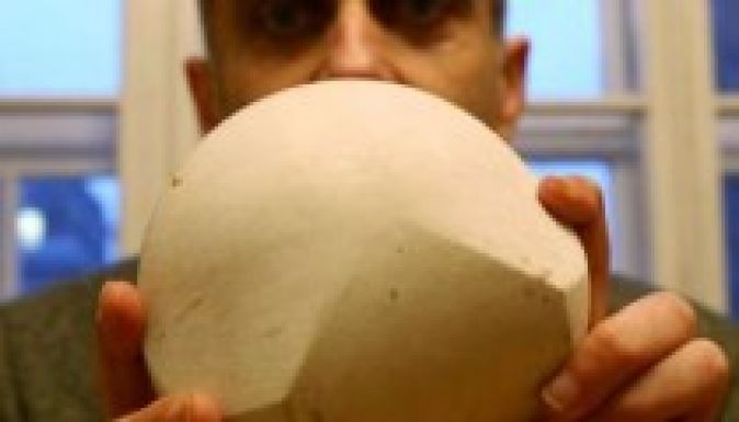 A gömböc akadémikusa Marosvásárhelyen