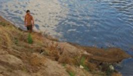 Középkorinak vélt hajót találtak Arad közelében 