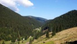 Ezer hektár erdőnek nyoma veszett a Görgényi-havasokban