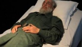Hetekig vegetálhat az agyvérzést kapott Fidel Castro?