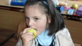 Friss gyümölcsöt kaphatnak az előkészítősök