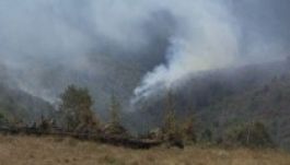 Hargita megye: 10 hektáron pusztított az erdőtűz