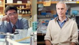 Két amerikai kutató kapta a kémiai Nobel-díjat