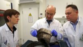 Raed Arafat lett az új egészségügyi miniszter