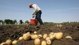 Román „rabszolgatartók” Székelyföldön