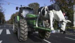 Teheneiket is harcba küldték a tüntető gazdák