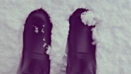 Kéretlen barátság