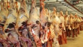 Drága, ezért nem fogy a sertéshús az ünnepek előtt