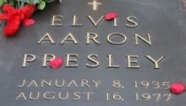 A szólistáknál tovább élnek az együttesek tagjai