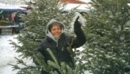 Szatmáron nagy a kereslet a dániai fenyők iránt