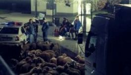 Provokál A fiú: közvécén született kisded