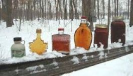 Elfogták a nagy juharsziruptolvajt