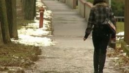 Karácsonyra tavaszias időjárást jósolnak a meteorológusok