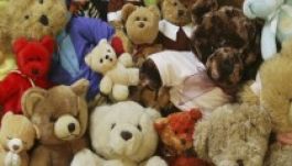 Közismert személyiségek plüssmackói jótékonysági árverésen