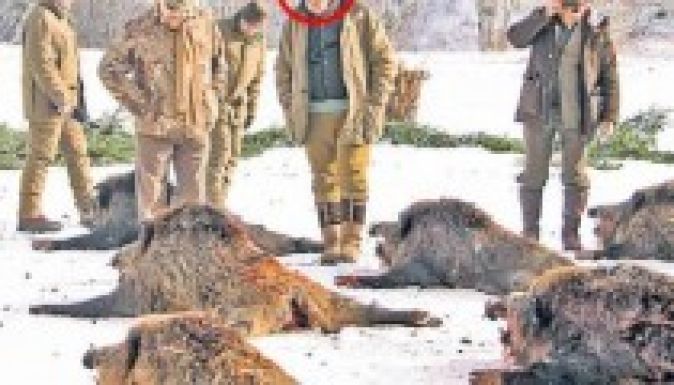 Retteghetnek a vaddisznók: megérkeztek Țiriac vendégei