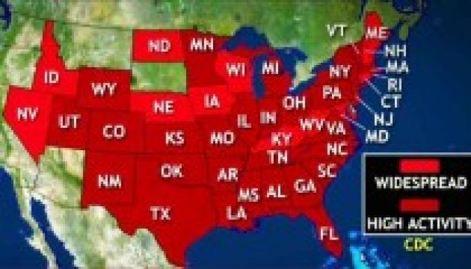 Húsz gyerek halt meg az amerikai influenzajárványban