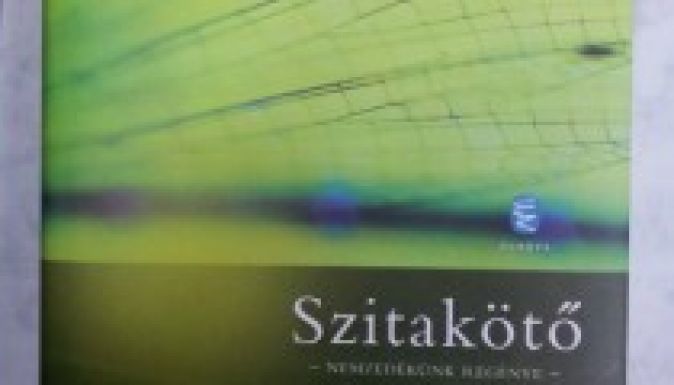 Lehetetlen kapcsolatok - Recenzió Vámos Miklós Szitakötő című regényéről 