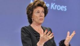 Elszörnyedt a Bayer-cikktől Neelie Kroes EB-médiabiztos