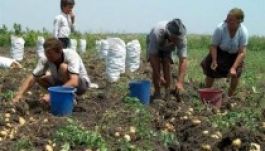 RMDSZ: átgondolatlan a gazdák fokozott megadóztatása