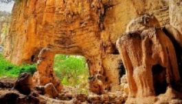 Barlangrajzokat fedeztek fel Indiában