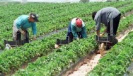 Félig zárt marad a románok előtt a spanyol munkaerőpiac