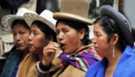 A bolíviai őslakosok újra rághatják a kokalevelet