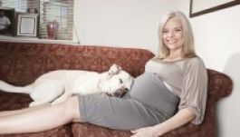 Kutyás szülés miatt ugatnak Angliában