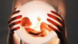 A lombikbébi-eljárás növeli a vérrögképződés kockázatát